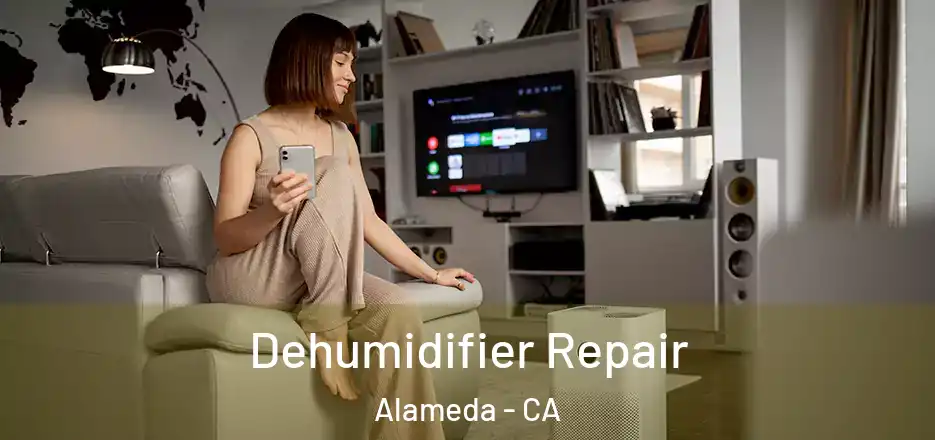  Dehumidifier Repair Alameda - CA