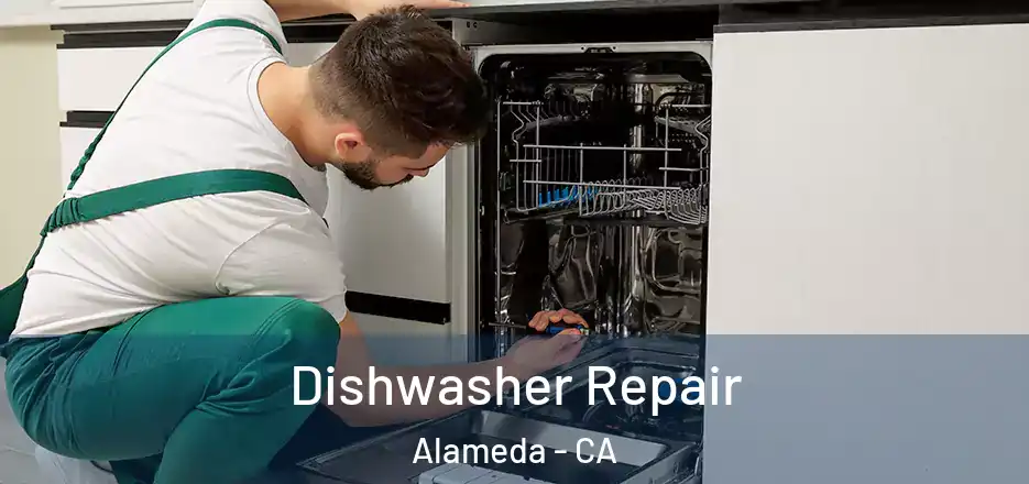 Dishwasher Repair Alameda - CA