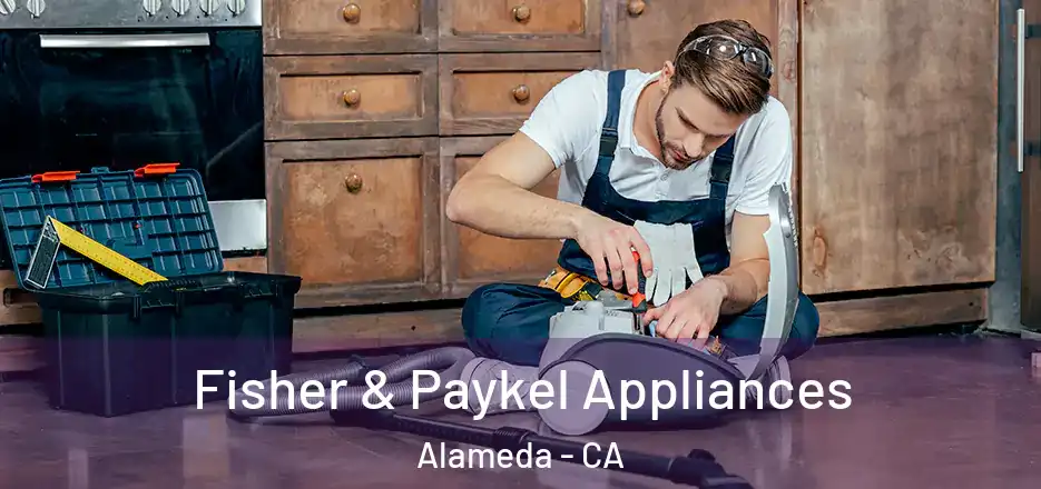  Fisher & Paykel Appliances Alameda - CA