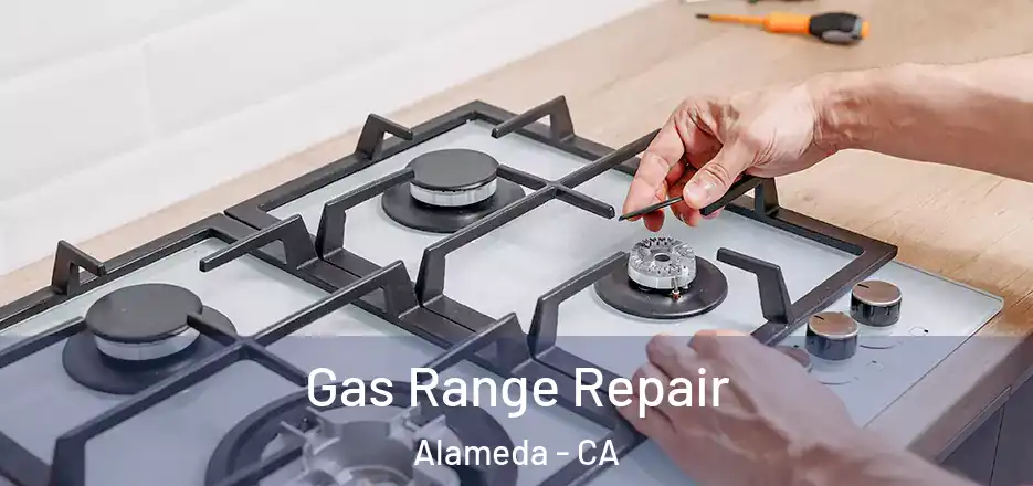  Gas Range Repair Alameda - CA