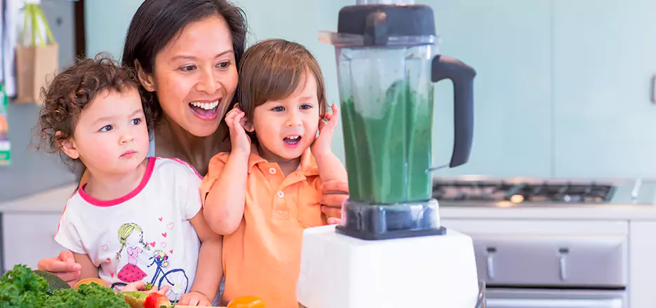 Juicer and Mixer Blender Repair in Alameda 