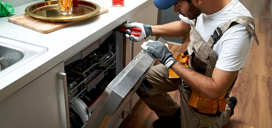 Same Day Dishwasher Not Draining Repair in Alameda