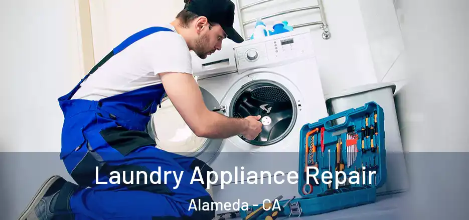  Laundry Appliance Repair Alameda - CA