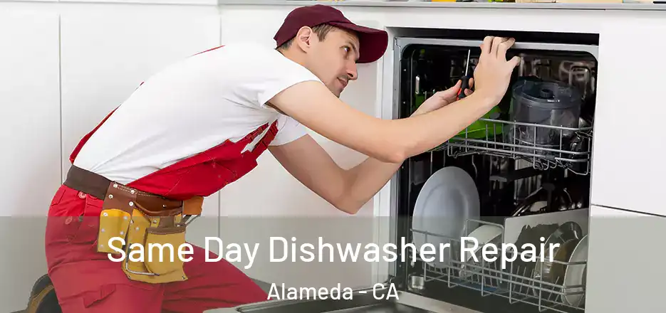 Same Day Dishwasher Repair Alameda - CA