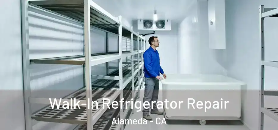  Walk-In Refrigerator Repair Alameda - CA