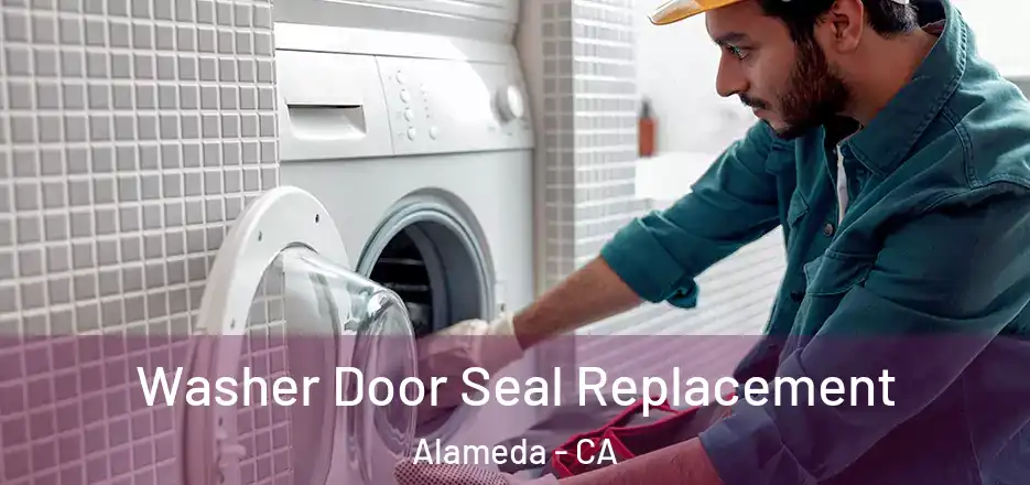 Washer Door Seal Replacement Alameda - CA